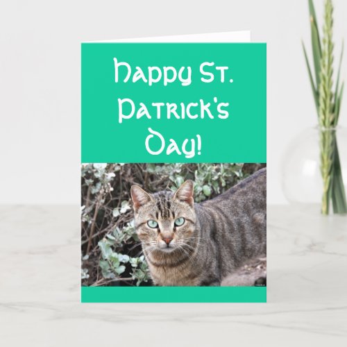 Happy St Patricks day cat greeting card