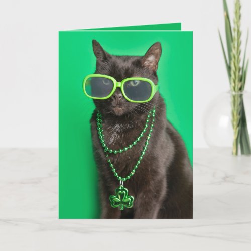 Happy St Patricks Day Cat in Green Humor  Holiday Card