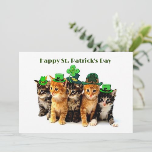 Happy St Patricks day cats flat greeting card