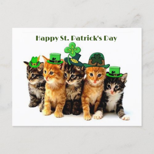 Happy St Patricks day cats postcard