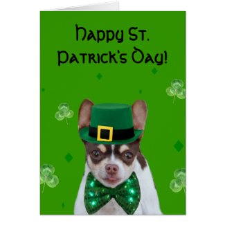 Happy St. Patrick's Day  Chihuahua greeting card