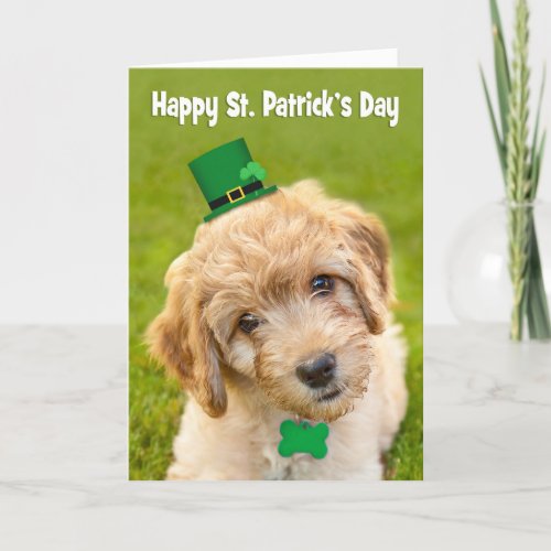 Happy St Patricks Day Cute Labradoodle Dog in Holiday Card