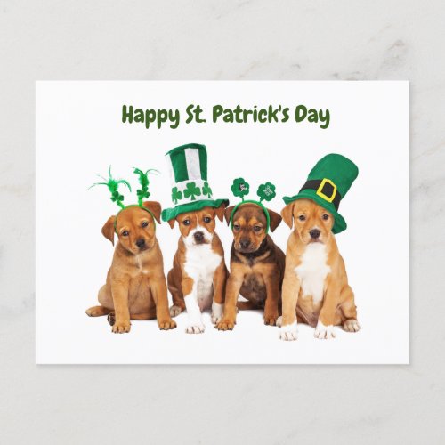 Happy St Patricks Day dogs Holiday Postcard