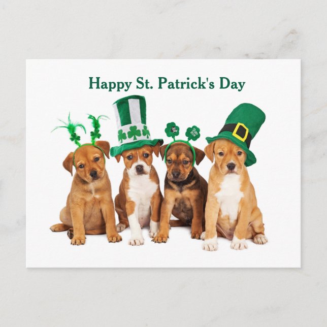 Happy St. Patrick's Day Dogs postcard (Front)