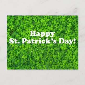Happy St. Patrick's Day! Field of Clover Postcard
