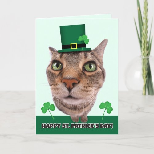 Happy St Patricks Day For Anyone Cat Humor Holiday Card