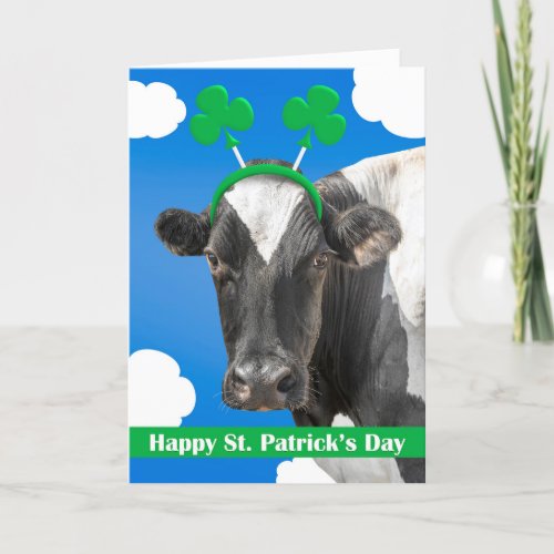 Happy St Patricks Day For Anyone Cow in Shamrocks Holiday Card