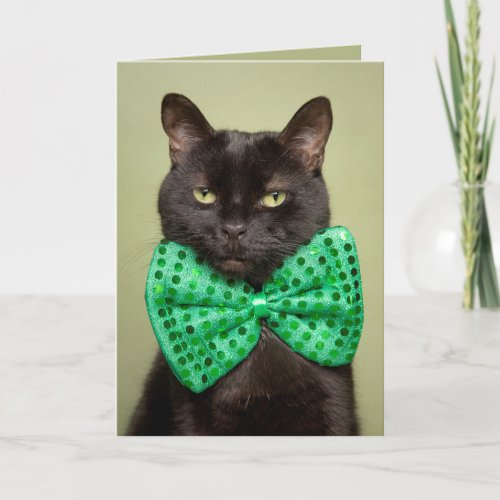 Happy St Patricks Day For Anyone Cute Black Cat Holiday Card