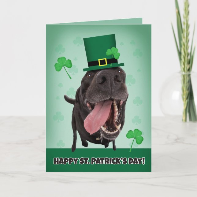 Happy St. Patrick's Day For Anyone Dog Humor Holiday Card (Front)