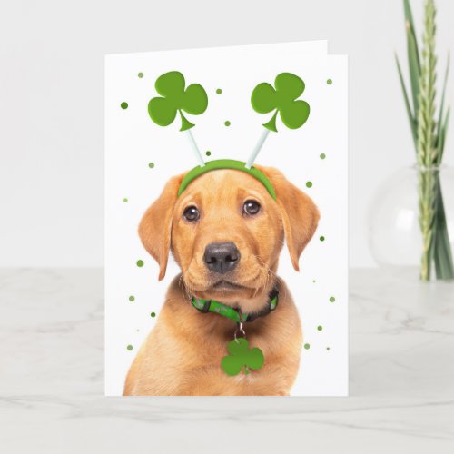 Happy St Patricks Day For Anyone Dog in Headband Holiday Card