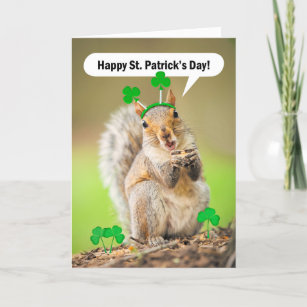 St Greeting Card W/ TRACKING Patrick's Day Squirrel Card Bird Mailbox Clovers 