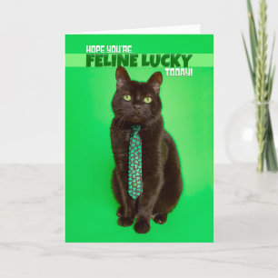 Happy St Patricks Day Funny Cat in Shamrock Holiday Card