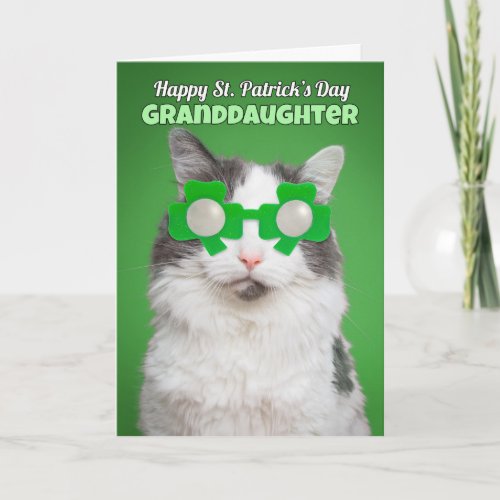 Happy St Patricks Day Granddaughter Cat Humor Card