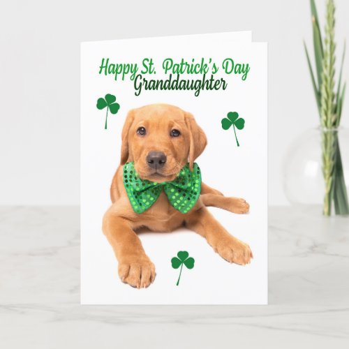 Happy St Patricks Day Granddaughter Lab Puppy Holiday Card