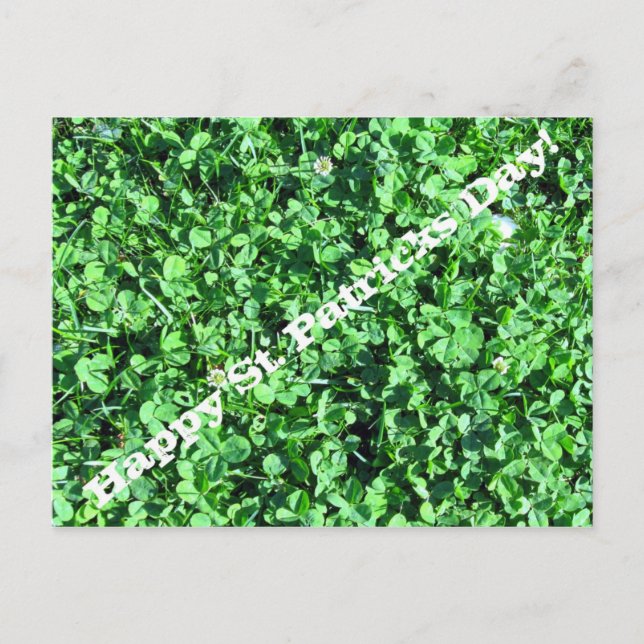 Happy St. Patricks Day! Postcard (Front)