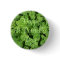 Happy St. Patrick's Day Shamrocks Button