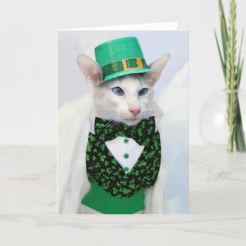 Happy St Patrick's Day - Skeezix The Cat Card by knichols1109 at Zazzle