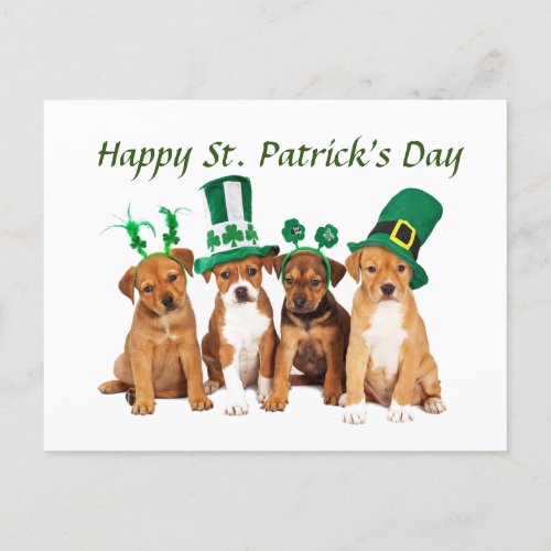 Happy St Patricks  Holiday Postcard