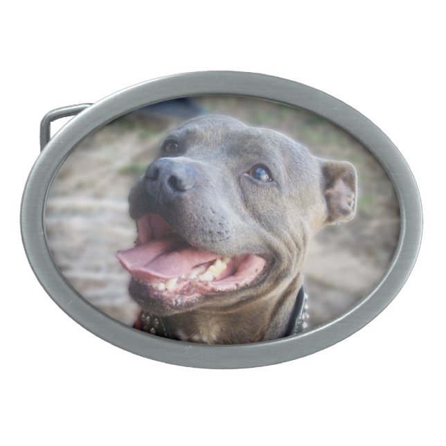 Happy Staffordshire Bull Terrier, Belt Buckle (Front)