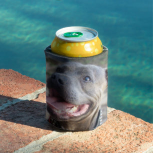 Happy Staffordshire Bull Terrier, Can Cooler