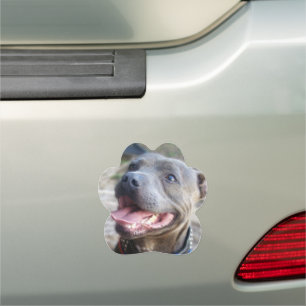 Happy Staffordshire Bull Terrier, Car Magnet