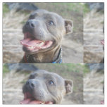 Happy Staffordshire Bull Terrier, Fabric