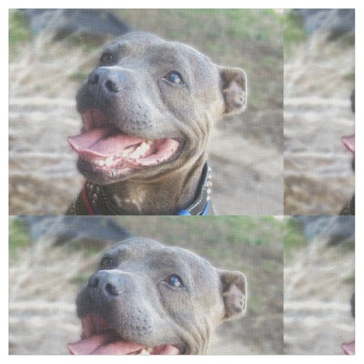 Happy Staffordshire Bull Terrier, Fabric