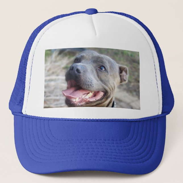 Happy Staffordshire Bull Terrier, Hat (Front)