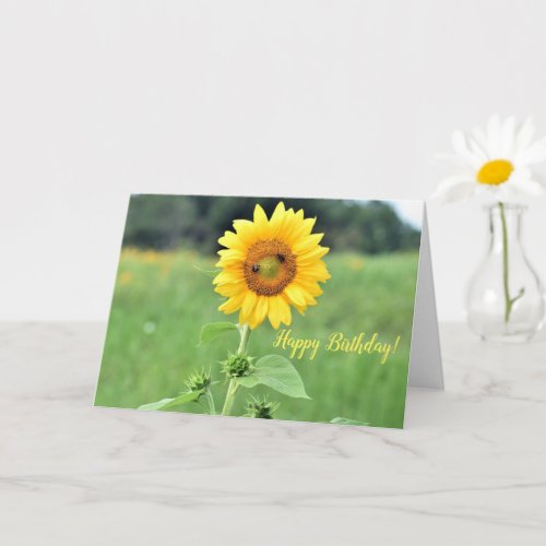 Happy Sunflower Birthday Greeting Card