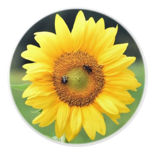 Happy Sunflower Ceramic Knob