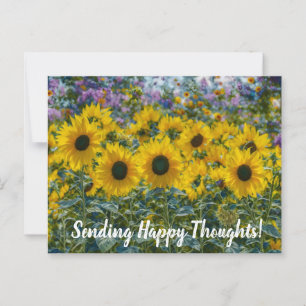 Happy Sunflowers Happy Thoughts Postcard