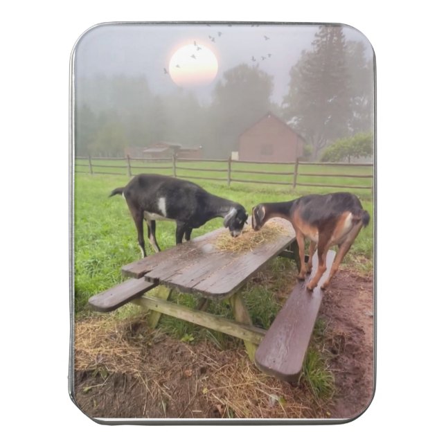 Happy Sunset Goat Jigsaw Puzzle (Lid Vertical)