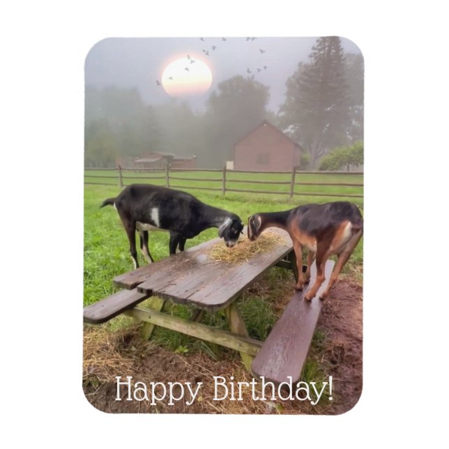 Happy Sunset Goats Birthday Magnet (Vertical)