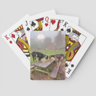 Happy Sunset Goats Poker Cards