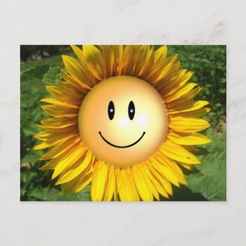 Happy Sunshine Flower Postcard by zzl_157558655514628 at Zazzle