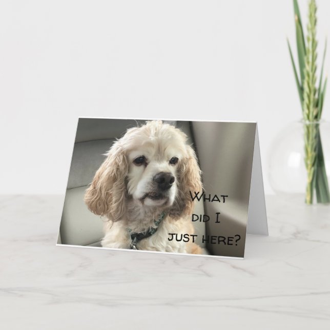 HAPPY SWEET **16** FROM COCKER SPANIEL CARD (Front)