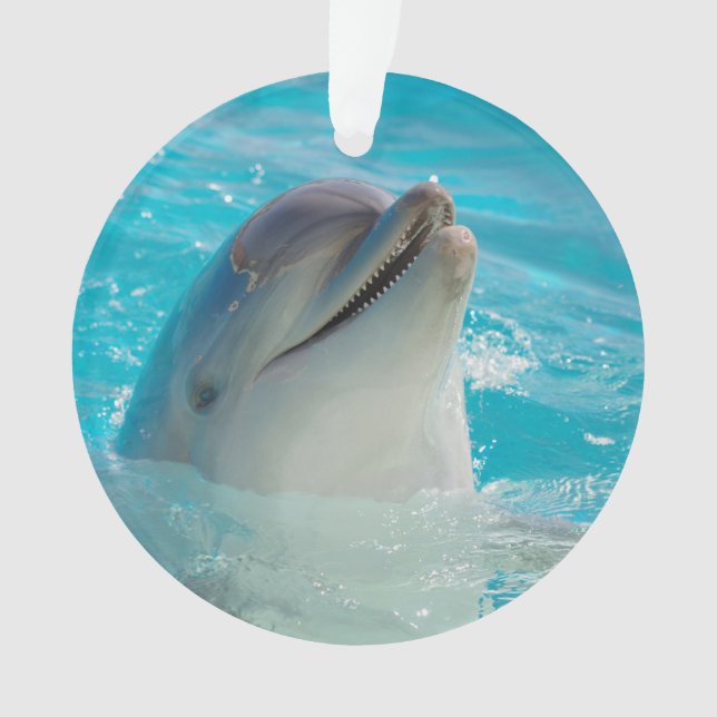 Happy Swimming Dolphin Ornament (Front)