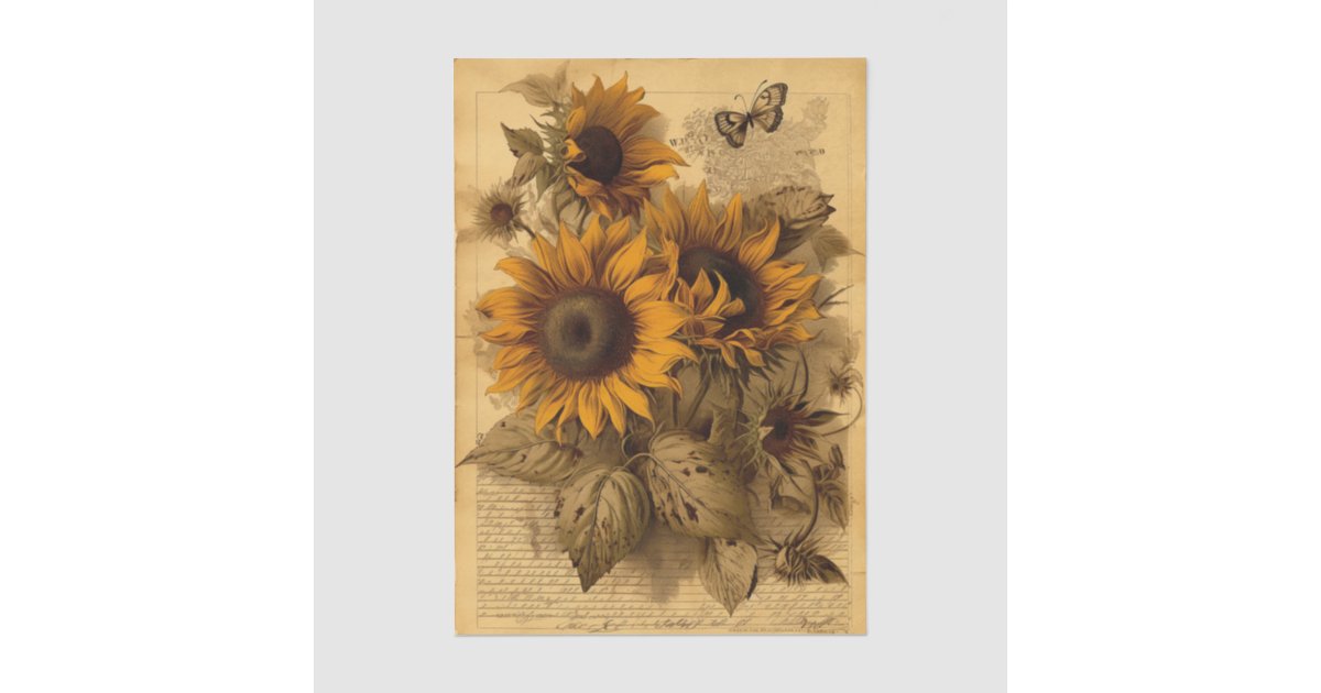Happy Swirling Sunflowers, Butterflies and Script Tissue Paper | Zazzle