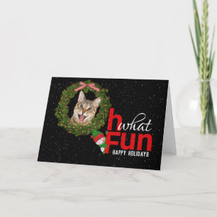 happy tabby cat in holiday wreath card