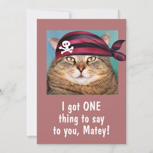 Happy Talk Like A Pirate Day Cat