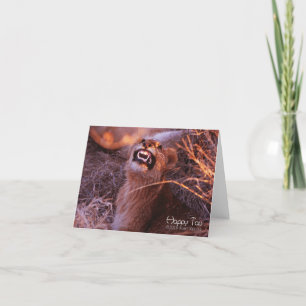 Happy Tau Card