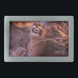 Happy Tau Rectangular Belt Buckle<br><div class="desc">Happy Tau, lion in Tetswana language of Botswana, nature photo prints and gifts features a beautiful photograph of a young lion in Africa taken by Kurt Keller with a 35 mm camera while on an African safari in Botswana. Anyone who loves animals and all lion lovers will enjoy this adorable...</div>