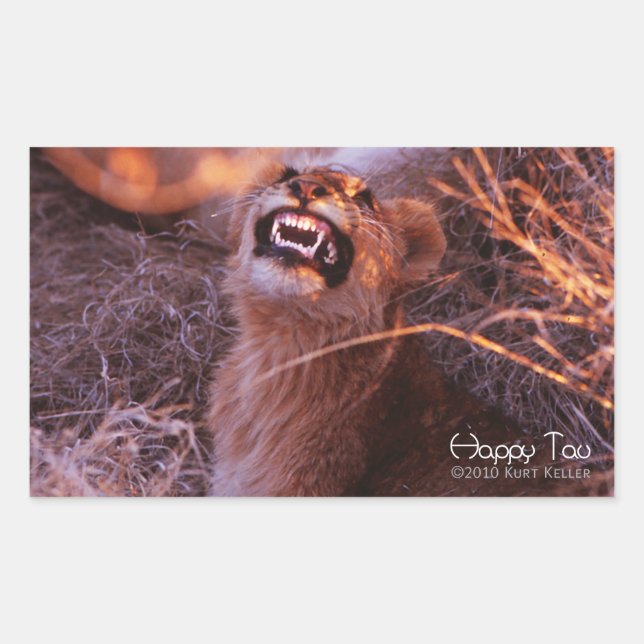 Happy Tau Rectangular Sticker (Front)