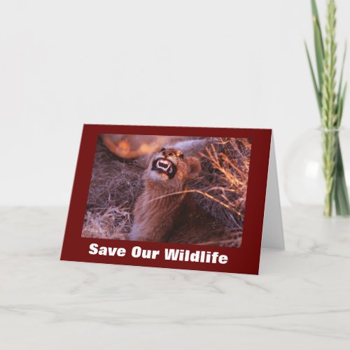 Happy Tau Save Our Wildlife Greeting Card