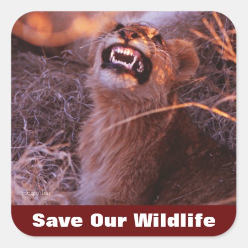 Happy Tau Save Our Wildlife Square Sticker
