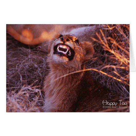Happy Tau, Smiling Lion Cub Cards (Front Horizontal)