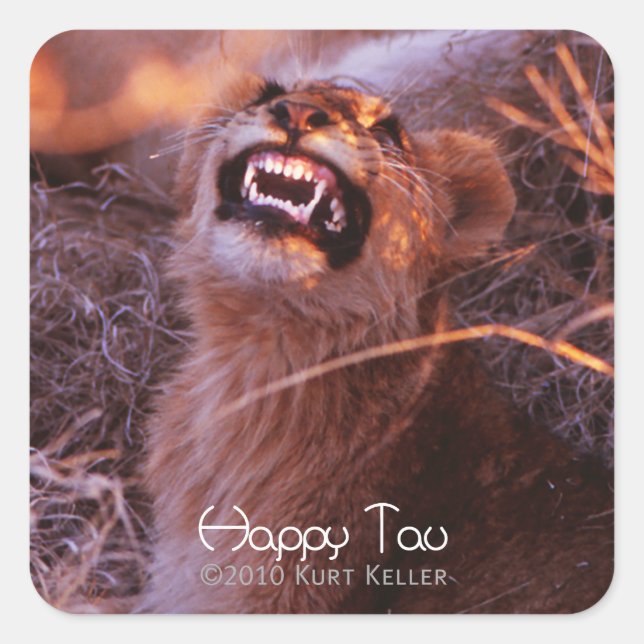 Happy Tau Square Sticker (Front)