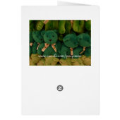 Happy teddybear! (Back)