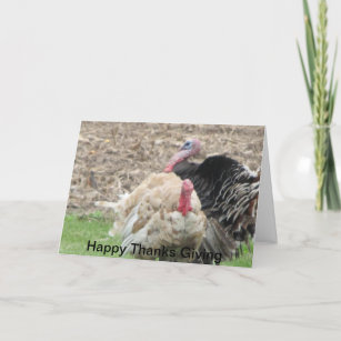 Happy Thanks Giving Thank You Card