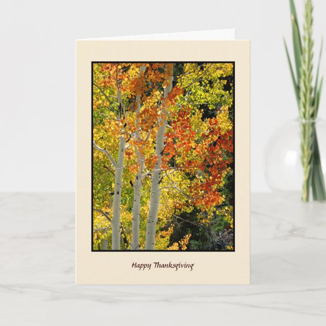Happy Thanksgiving Autumn Aspens, Fall Colors Card (Front)